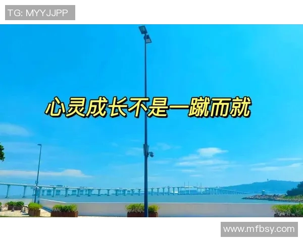 何思雨:在风雨中追寻梦想的勇敢旅程与心灵成长 何思雨:在风雨中追寻梦想的勇敢旅程与心灵成长